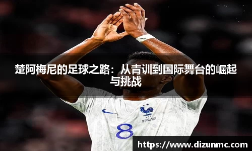 鑫彩网官网入口