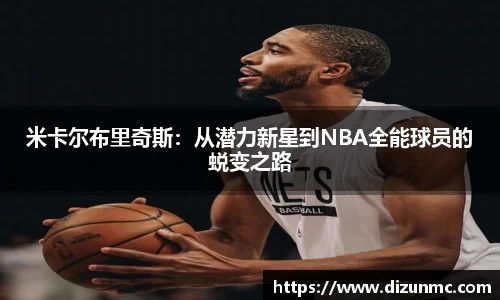 鑫彩网官网入口
